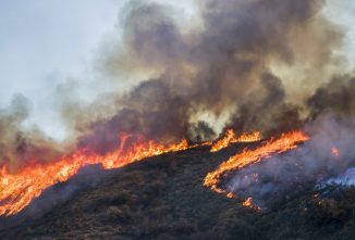 How the California Fires Affected Dairy Goat Owners
